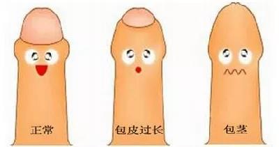 微信图片_20200701134529.jpg