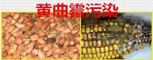 微信图片_20210210215711.jpg