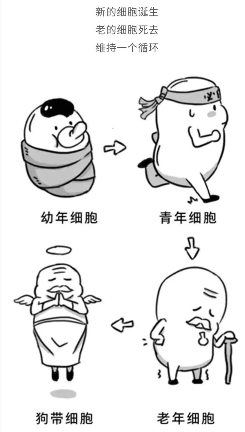 壹生资讯 看漫画认识癌细胞