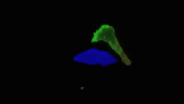 3.gif