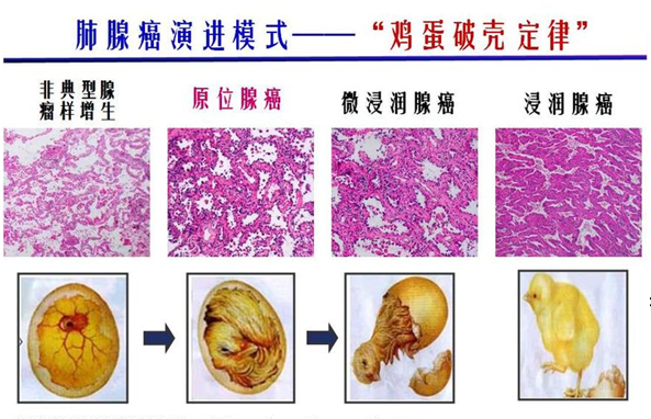 微信图片_20201228160200.png