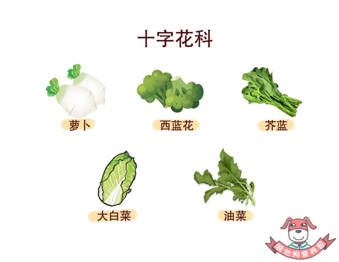 微信图片_20210222142941.jpg