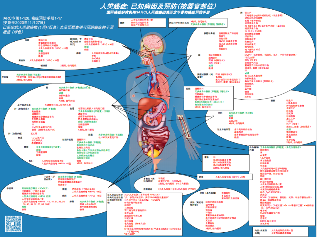 微信图片_20210210215705.png