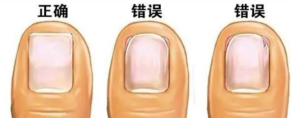 微信图片_20200729170227.jpg