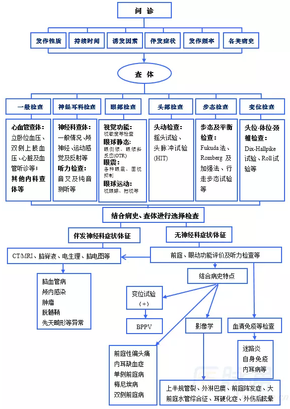 附表1:孤立性眩晕的定位诊断