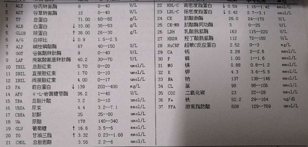 394900李珊2.2.jpg