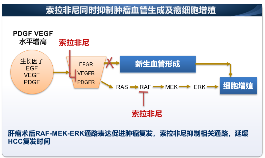 2e11f4ce81527de24b54e4facef5697.png