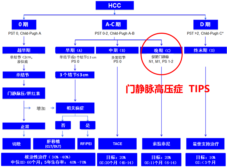 b52ebe22db18890743db052558ba43d.png