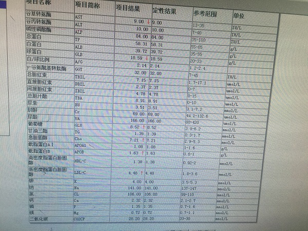 842519image.jpeg