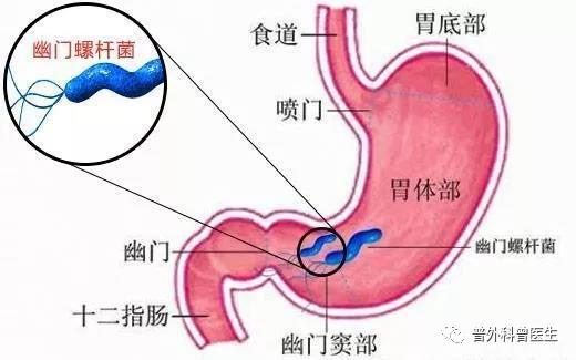 微信图片_20200901105609.jpg