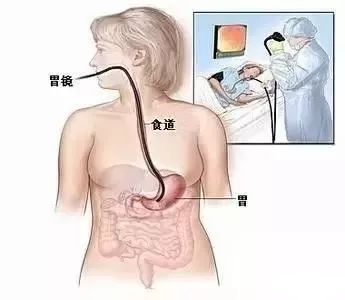微信图片_20210427102956.jpg