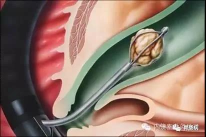 微信图片_20210914152733.jpg