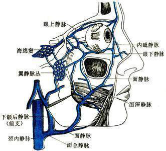微信图片_20200928110357.png