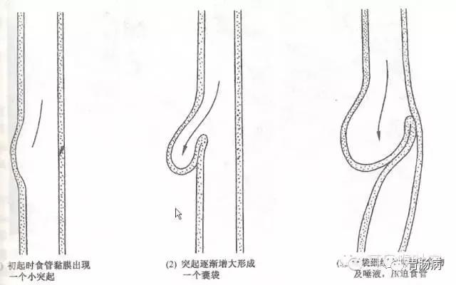 微信图片_20210427111616.jpg