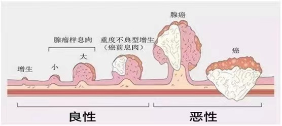 微信图片_20221121104614.png