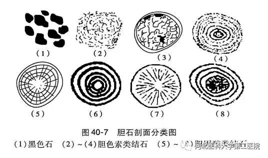 微信图片_20211227170315.jpg