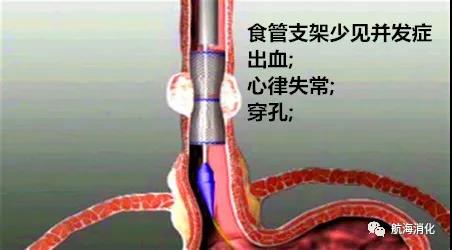 微信图片_20201218155902.jpg