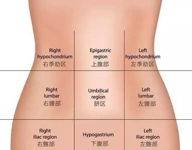 腹部疼痛区域图图片