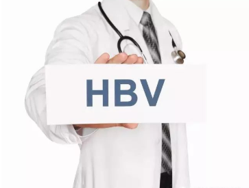 hbv.png