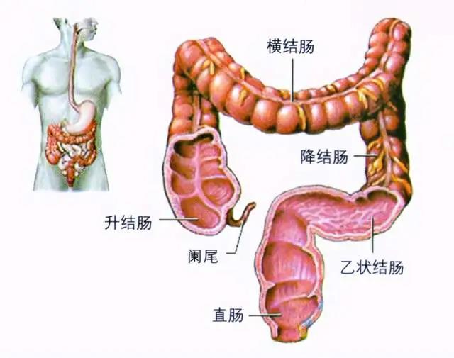 微信图片_20210517143600.jpg
