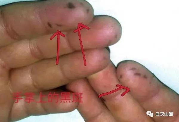 微信图片_20210402132331.jpg