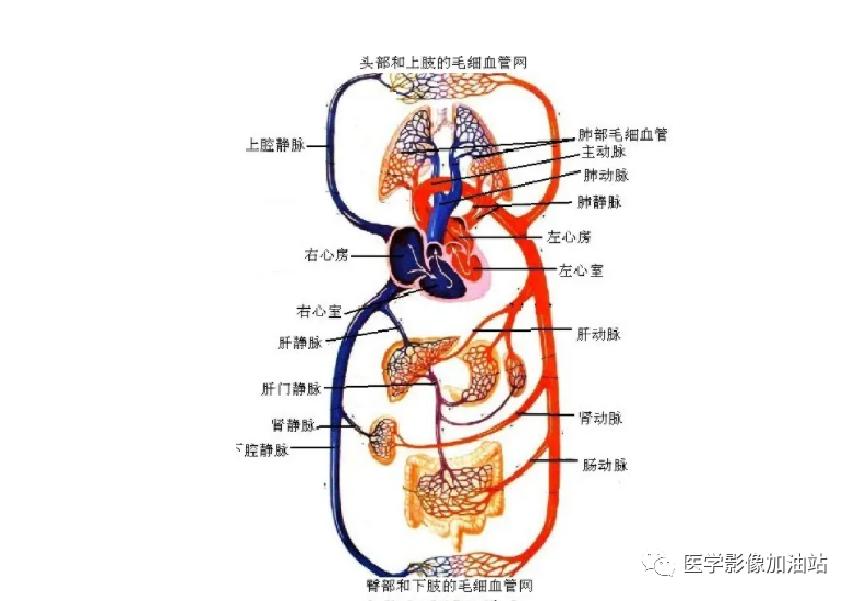 微信图片_20221202143003.png