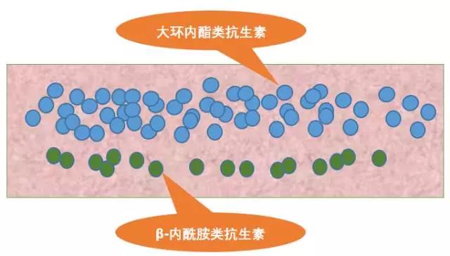微信图片_20210610151604.jpg