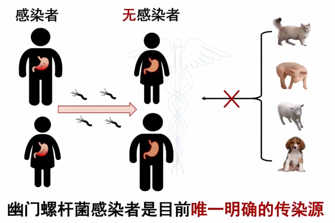 传染源.png