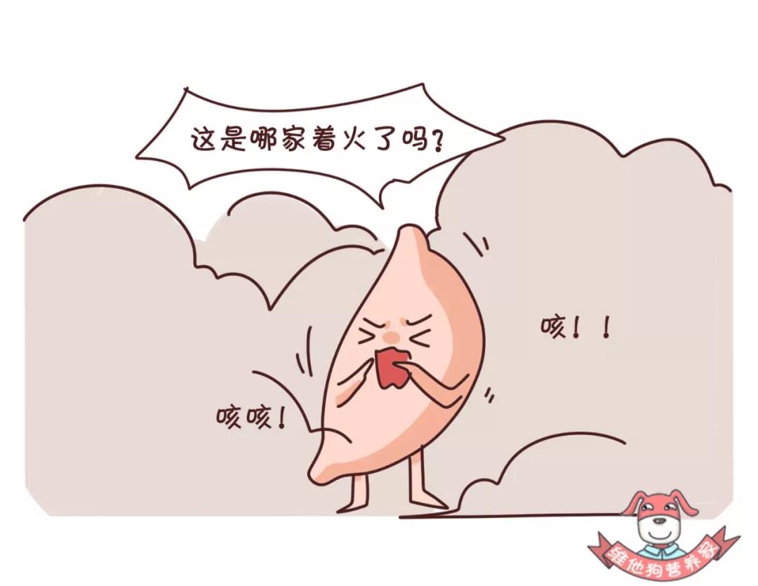微信图片_20200529104917.jpg