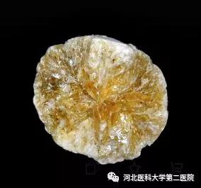 微信图片_20211227170318.jpg
