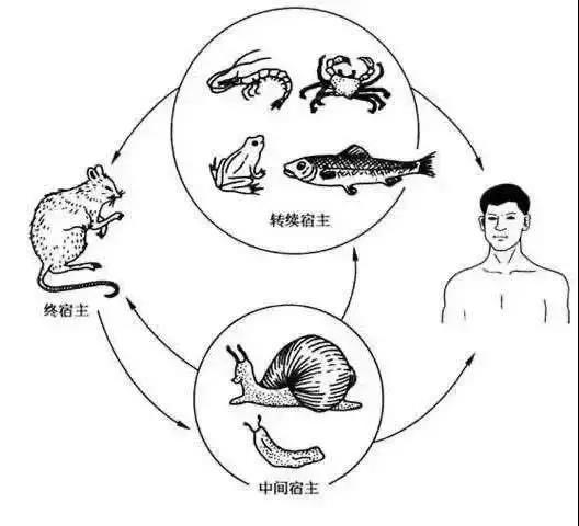 微信图片_20210404014105.jpg