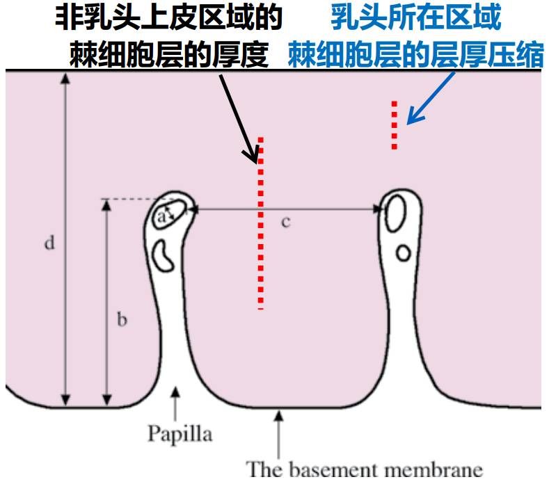 微信图片_20210816101215.png