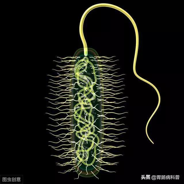 微信图片_20201118142800.jpg