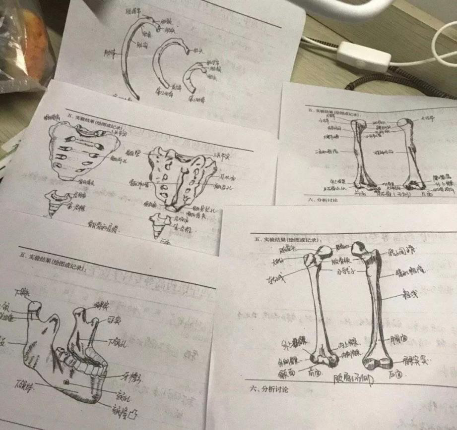微信图片_20200909165519.png