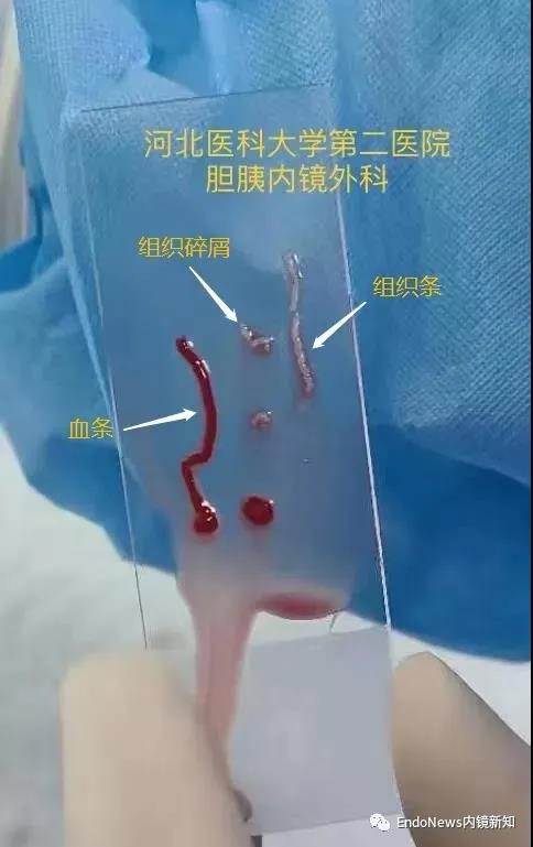 微信图片_20210923111952.jpg