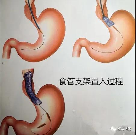 微信图片_20201218155834.jpg