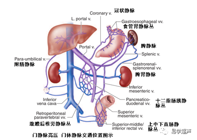微信图片_20201227022841.png