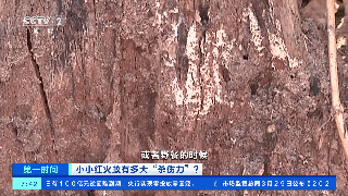 微信图片_20210404231918.gif
