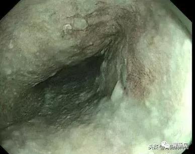 微信图片_20210721152607.jpg