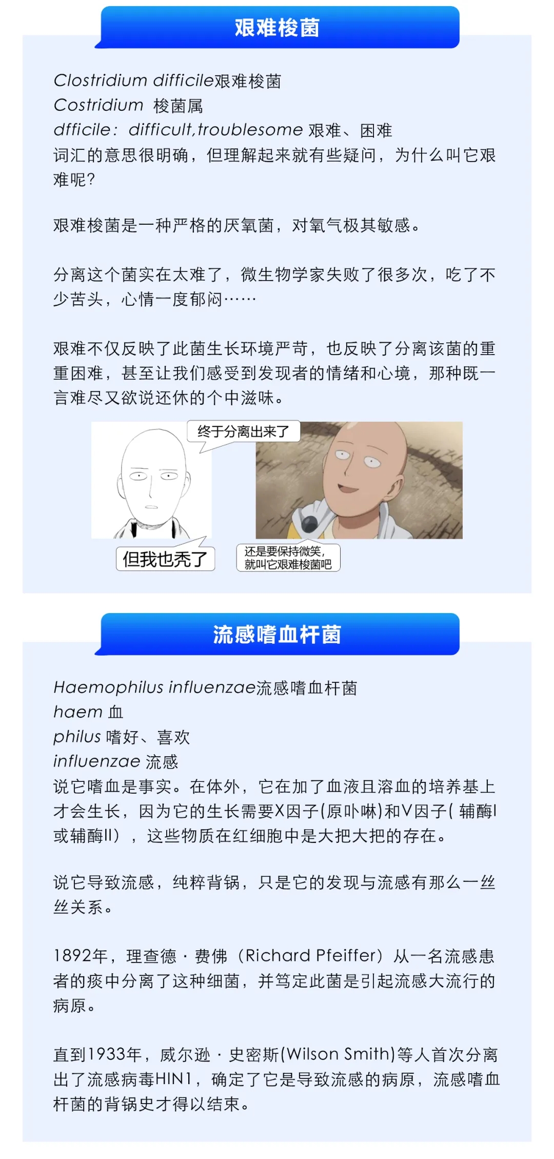 3.webp.jpg