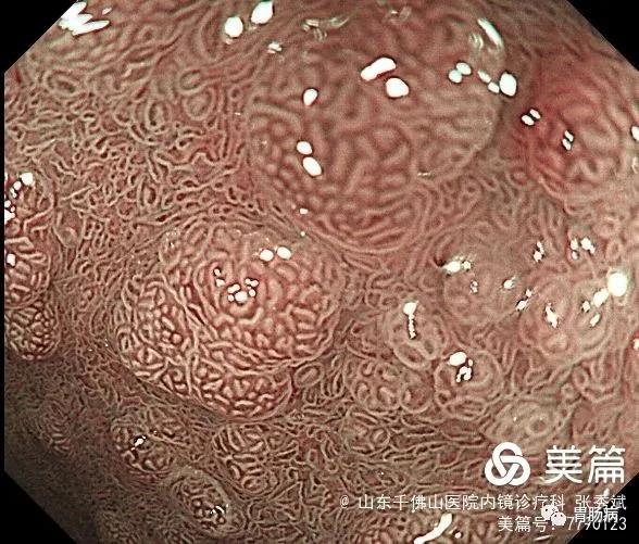 微信图片_20210610174723.jpg