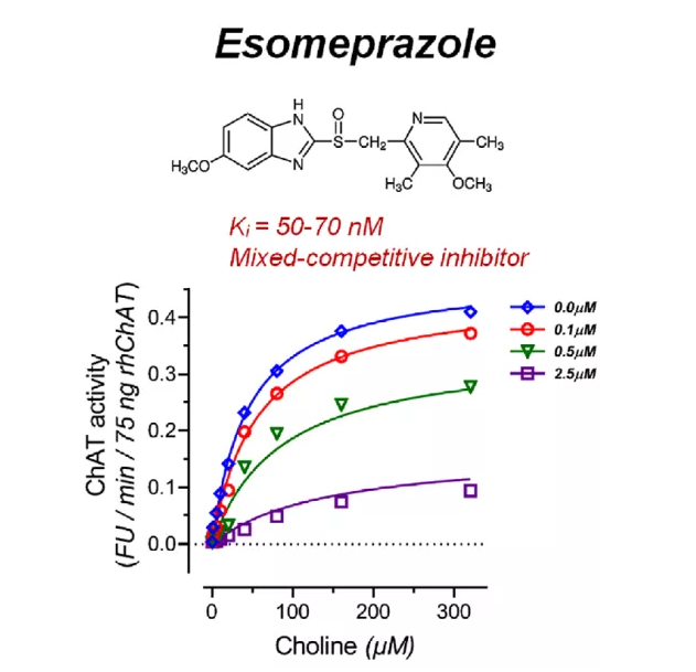 科學家發現,質子泵抑制劑可以抑制乙酰膽鹼合成,或與痴呆風險增加有關