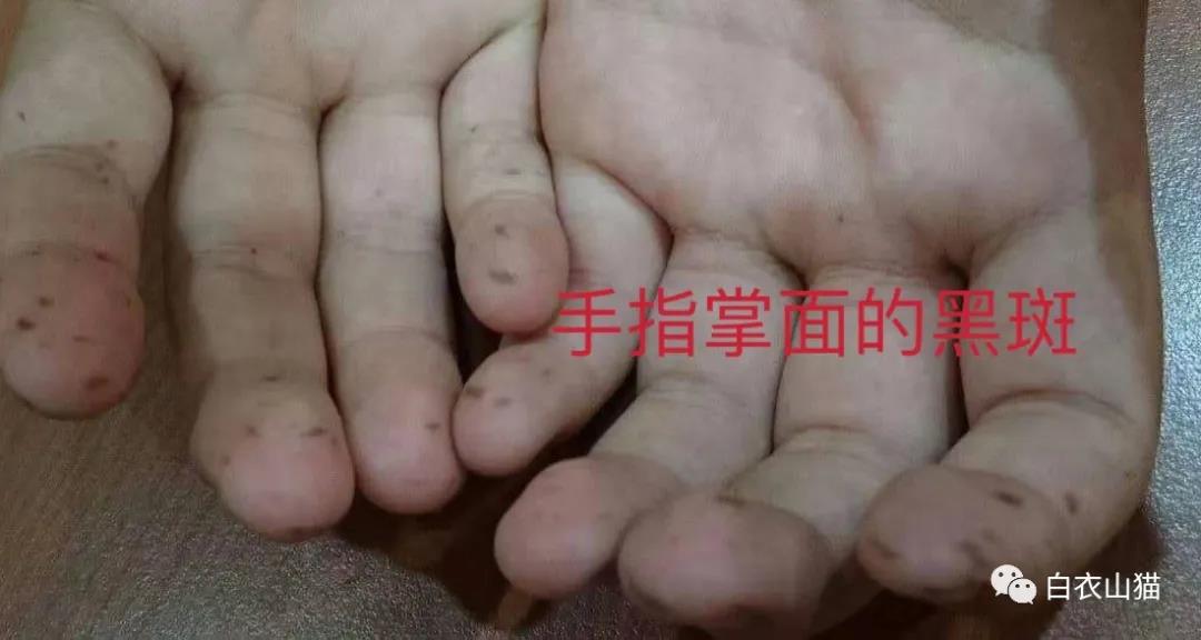 微信图片_20210402132351.jpg