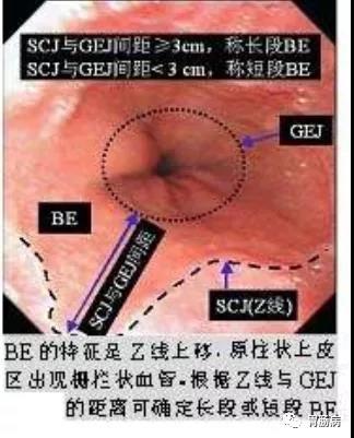 微信图片_20210902145721.jpg