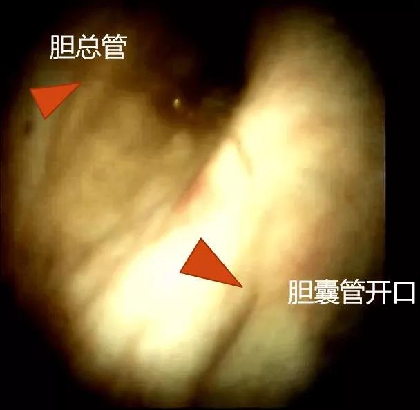 微信图片_20220120163925.jpg
