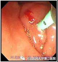 微信图片_20211227164814.jpg