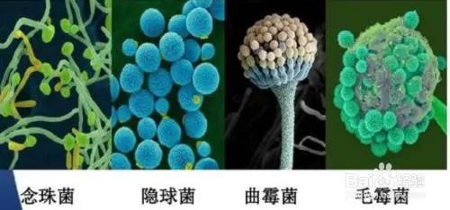 微信图片_20210402111826.jpg