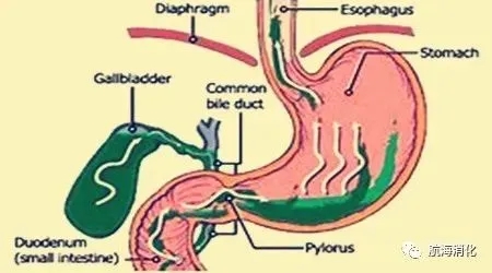 640.webp (9).jpg