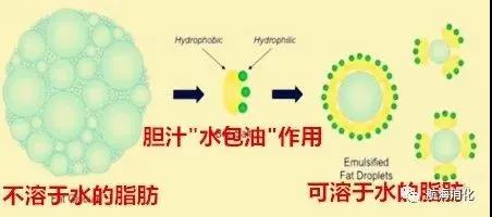 微信图片_20210901103228.jpg