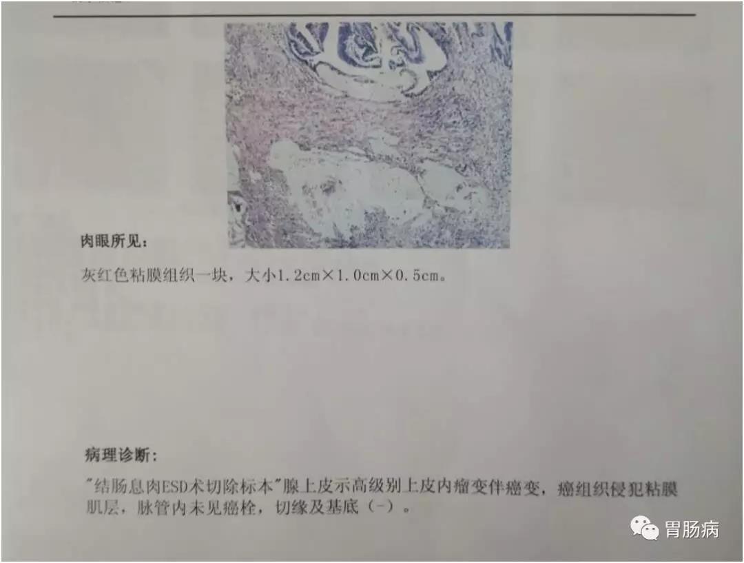 微信图片_20210309160050.jpg